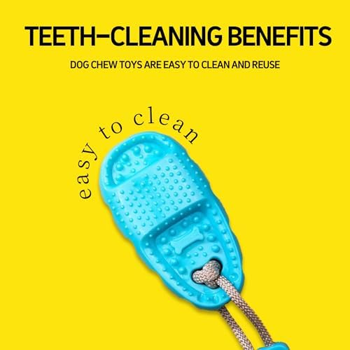 2026 New Dog Suction Cup Toy-Tug of War Style with Rope