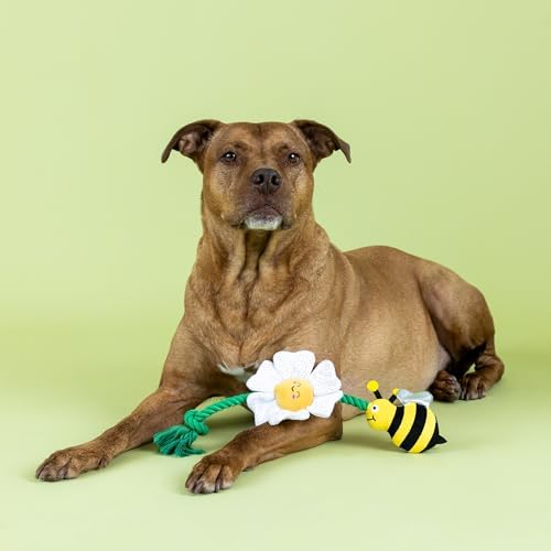 Fringe Studio I’M Pollen for You Plush Dog Toy, Pet Shop Collection (314432)