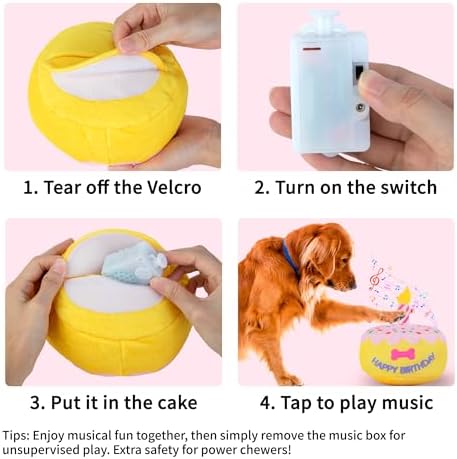 Dog Birthday Cake Toy, Larger Birthday Gift with Music Box