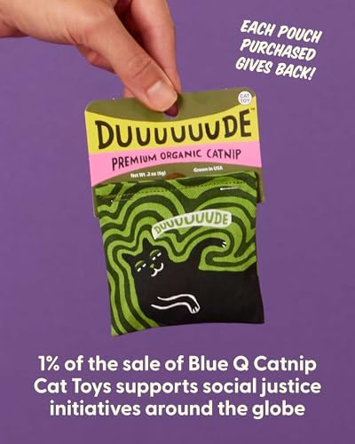 Blue Q Catnip - Cute Cat Toys for Biting w/Funny Graphics - Duuuuuuuude