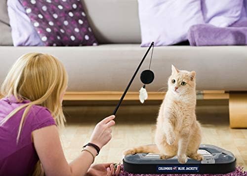 Pets First NHL Columbus Blue Jackets Hockey Field Cat Scratching Toy With Interactive Ball Bell in Tracks - 5-in-1 Scratcher
