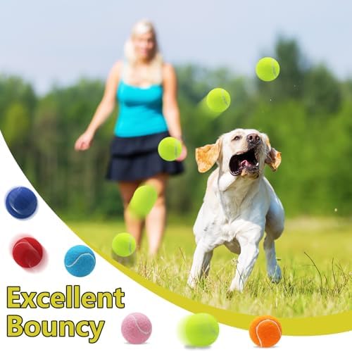 Swingers Squeaky Tennis Balls for Dog, 2.5 Inch Training Tennis Balls
