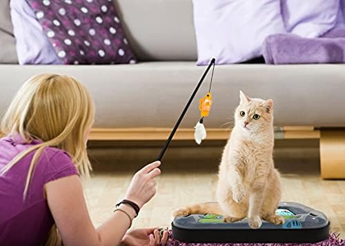 Cat Scratching Toy – Scratcher Board & Fish Aquarium Design