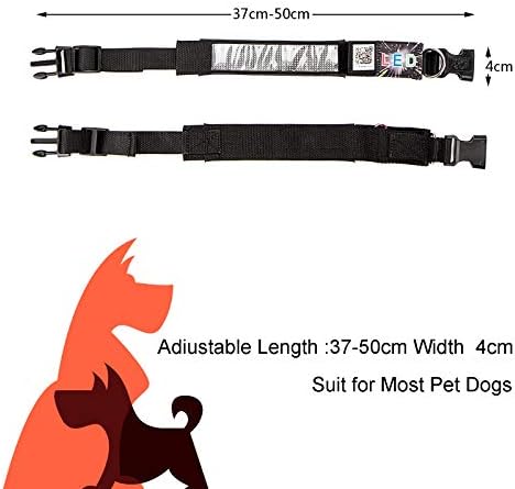 Leadleds Digital Collar Programmable LED Dog Collar, Flashing Light Up Rechargeable Pet Dog Safety Collar Glow in The Dark Light-up Neck Loop (Red Led)