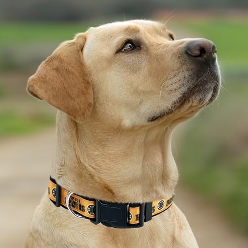 NHL Boston Bruins Collar for Dogs & Cats, Medium. - Adjustable, Cute & Stylish! The Ultimate Hockey Fan Collar!, Medium (12-18" Length x 0.62" Width)