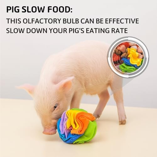 Snuffle Ball for Pigs – Pig Enrichment Toys for Mini Pigs, Potbellied Pigs & Farm Use – Interactive Foraging & Rooting Toy, Slow Feeding Pig Toys Accessories