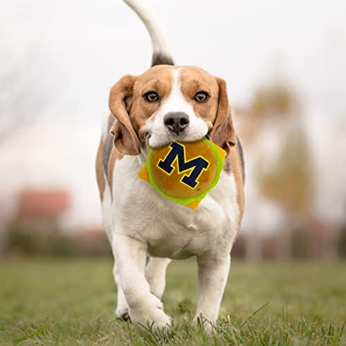 NCAA MICHIGAN WOLVERINES CHEESE BURGER PLUSH DOG & CAT SQUEAK TOY - Cutest STADIUM HAMBERGER SNACK Plush Toy for DOGS & CATS with INNER SQUEAKER & Beautiful Football/Basketball Team Name/Logo