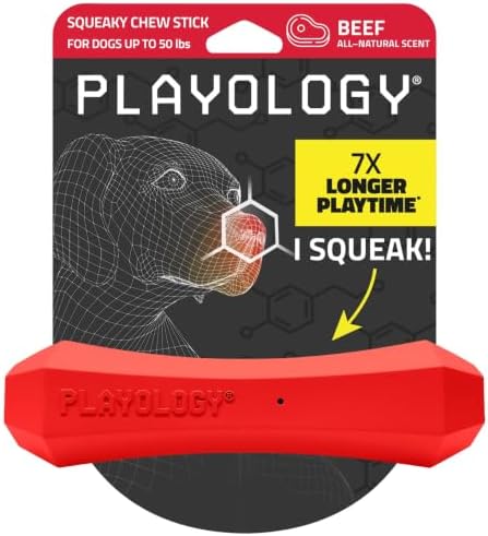 Playology Squeaky Chew Stick - Scented Dog Toy - Medium, Beef Scent