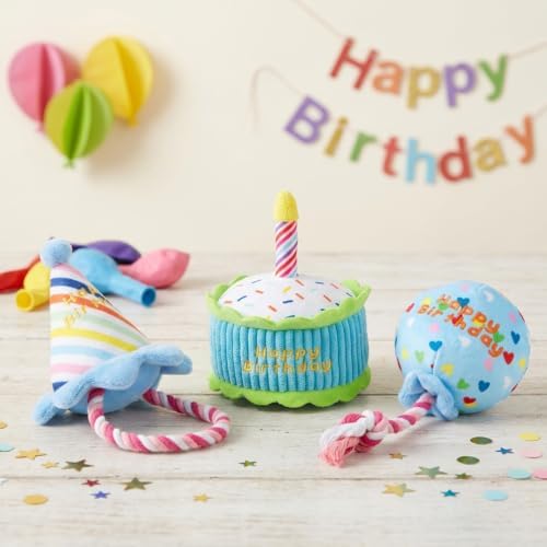 Hollypet Squeaky Hide and Seek Dog Toys for Small and Medium Dogs, Birthday