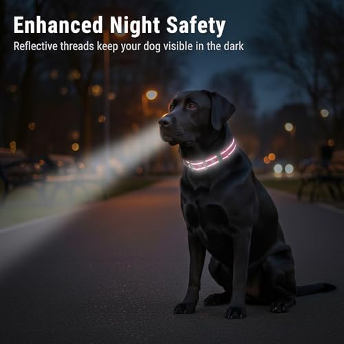 Reflective Dog Collar for Large Dogs Wide Padding 6 Holes Adjusta