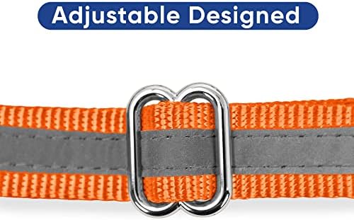 Pawtitas Martingale Dog Collar with Chain a Reflective Dog Training Collar for Large Dogs | Nylon No Pull Dog Collar for Large Dog - Orange