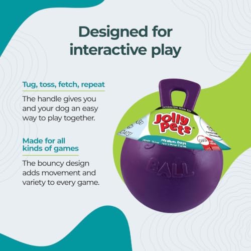 Jolly Pets Tug-n-Toss Heavy Duty Dog Toy Ball with Handle, 8 Inches/Large, Purple