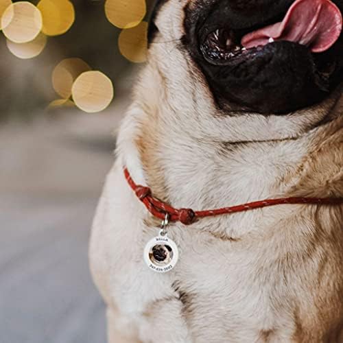 Dog Tags Personalized for Pets - Dog Tag with Qr Link to Online Profile - Dog Tags Engraved for Pets - Dog Name Tag and Cat Name Tag for Your Pet