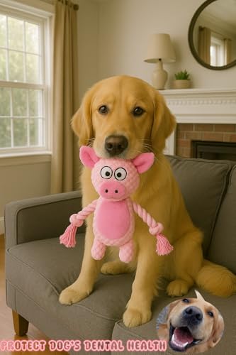 Plush Pig Dog Toy, Squeaky Interactive Tug Toy for Small Medium Dogs