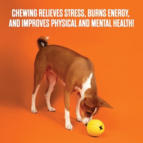 BULLYMAKE Tough Chew Controller Dog Toy, Durable Nylon, Aggressive Chewers