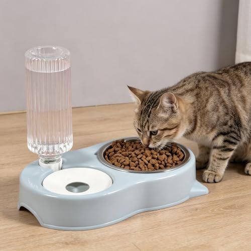 Cat Bowls Food and Water Bowl Set with Automatic Water Dispenser