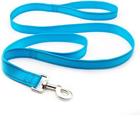 Personalized Dog Collar, Reflective Custom Dog Collar with Name Phone Number Adjustable Size (XS S M L) (Sky Blue)