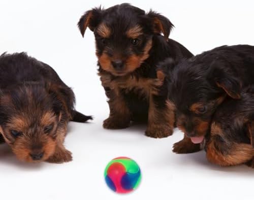 Totority Lighted Dog Ball Toy Glow in the Dark Interactive Pet Toy for Small Dogs and Puppies Elastic Jump Ball for Training Oral Exercise and Active Play