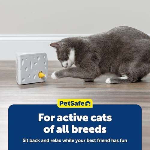PetSafe Cheese - Interactive, Electronic Cat Toy - Peek-A-Boo Mouse Hunt Game - Hide and Seek for Bored and Anxious Cats - Kitten Teaser Toy - Automated Cat Toy for Cat Enrichment and Exercise