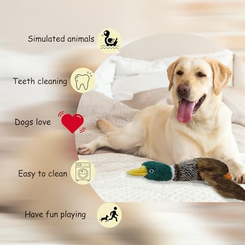 Dog Toys Interactive Mallard Duck Toy Puzzle and Squeaky Toy for Small Medium and Large Dogs Duck Toys, Stuffed Toy for Dog, Plush Toys for Dogs