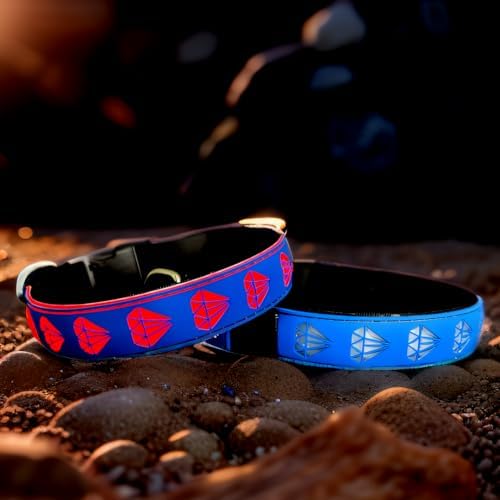 Personalized Dog Collar Waterproof airtag Dog tag Holder,USB C Light up Night Black Dog Collar (Blue, L(15.7-19.7"))
