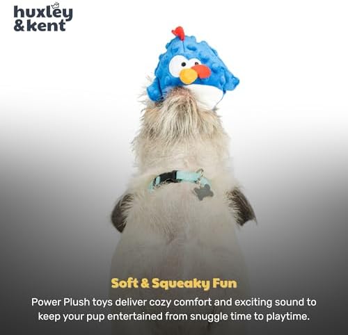 Huxley & Kent Funny Dog Toy w/Squeaker – Power Plush Squeaky Dog Toys for Small Dogs – Durable Small Stuffed Animal for Indoor Play & Fetch - Tiny Tuff Chicken Gordon Blue