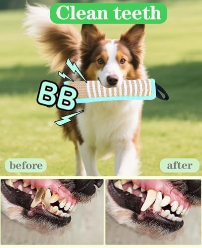 Clysoru Squeaky Tug Toy for Dogs Jute with 2 Strong Handles Lasting Training Equipment Puppy to Large Dog Interactive Toys of War Pull Indestructible Rope Pet Crinkle Teething