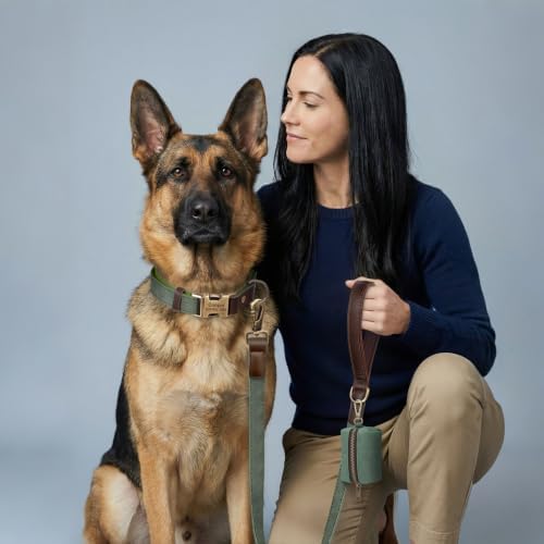 Personalized PU Leather Dog Collars,Quick Release Buckle,Green,XL