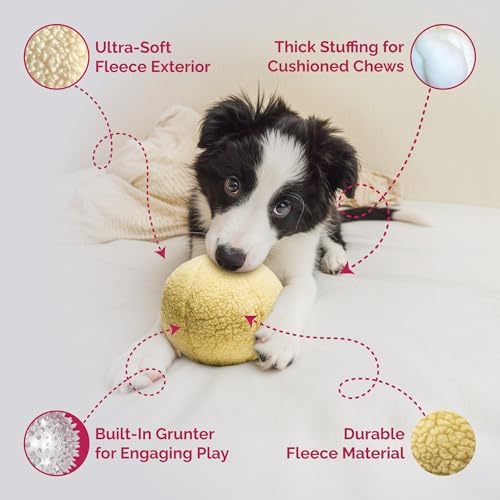 PetLou Dog Fleece Ball Chew Toy, 8"