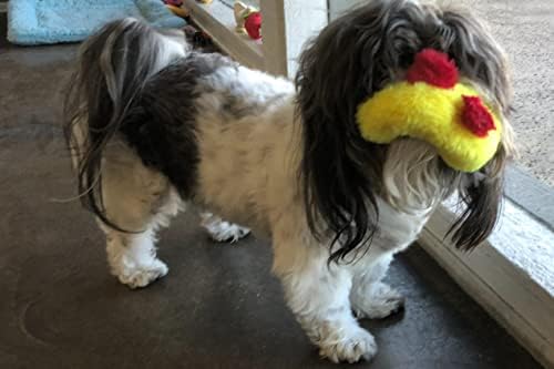 Glory To Dog TinyToy Plush Yellow Duck Very Small Unstuffed Dog Toy