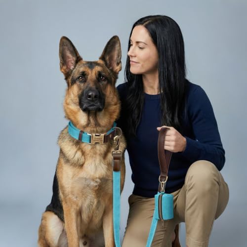 Personalized Dog Collars, Quick Release Buckle, Light Blue,XL
