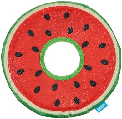 BarkBox Slobbermelon Fetch Flying Disc Dog Toy - for Dogs