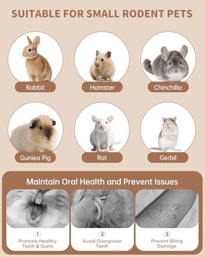 31PCS Rabbit Chew Treat Toys for Teeth Health, Natural Bunny Enrichment Toys for Boredom & Stress Relief, Keep Busy Toys for Guinea Pig Chinchilla Hamster Rat Gerbil Degu Indoor Outdoor