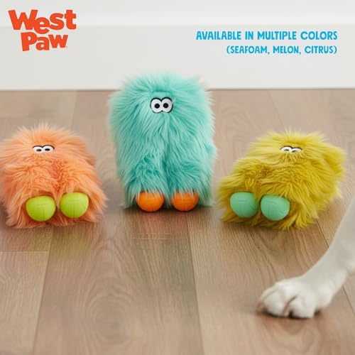 WEST PAW Rowdies Astrid Durable Plush Dog Toy with Reinforced Seams and Chew Resistant Design for Tough Play Safe Indoor or Outdoor Fun for Dogs Who Deserve the Best - Seafoam