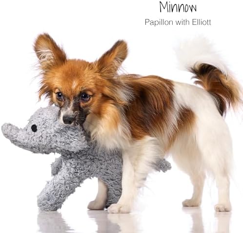 Plush Durable Cotton Dog Toys with Coconut Fill for All Pet Breeds, Elliot the Elephant, One Size