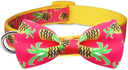 azuza Bowtie Dog Collar, Soft & Comfy Dog Collar with Bow, Fun Patterns & Bright Color for Small Dogs
