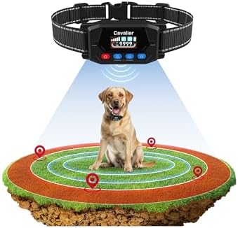 PATPET Wireless Fence for Dogs, Long Range GPS Dog Collar Fence System, 3 Humane Training Modes Electric Fence for Dogs, 9999Yd Radius, IP67 Waterproof Training Collar Medium Large Dogs
