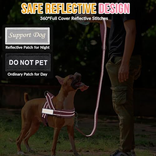 Lukovee No Pull Dog Harness and Leash Set, Soft Padded for Large Medium Dog