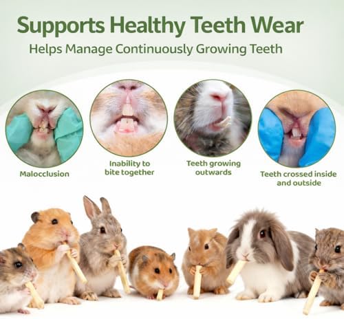 Sukh 240g Rabbit Chew Sticks - Natural Sweet Bamboo Chew for Small Animals