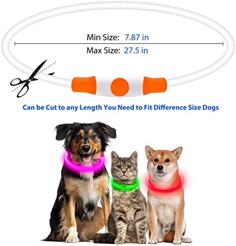 Flashseen LED Dog Collar, USB Rechargeable Glow Lighted up Collar, Orange