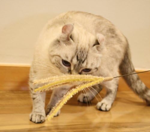 Catty Man Jereneko Silver Grass 2 Pcs, Interactive Cat Teaser Wand Feather Cat Toy Made In Japan