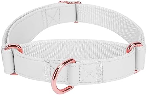 Soft Leather Martingale Dog Collar - Adjustable Rose Gold Limited Slip Collars [Easy to Clean], Stylish Durable Heavy Duty Nylon No Pull Training Collar for Small Medium Large Dogs XS White