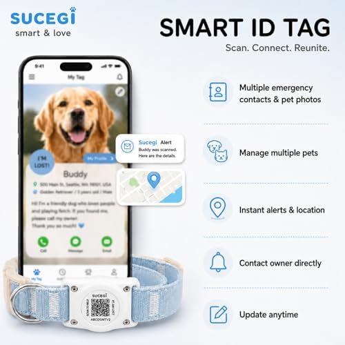 AirTag Dog Collar with QR Code ID, Dog Collar with Air Tag Holder, Blue, XL