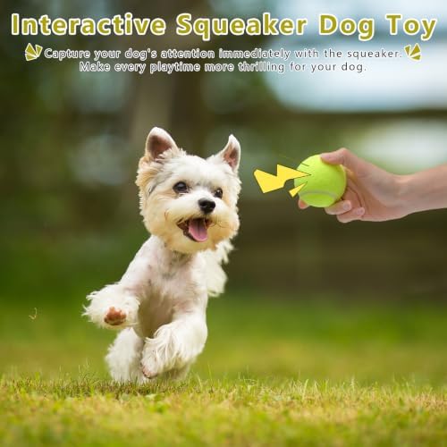 Magicorange Small Tennis Balls, 6 Pack 2 inch Squeaky Tennis Balls for Dog