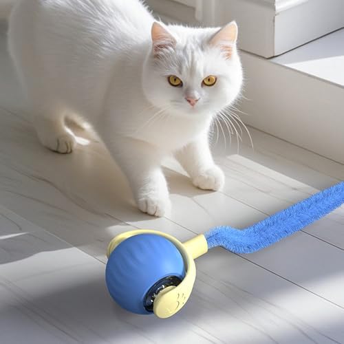 Interactive Cat Toys for Indoor Cats,Automatic Moving Kitten Toys,Cat Balls