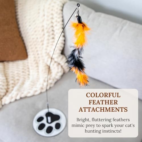 Interactive Cat Toys for Indoor Cats - Glow in Dark Octopus - XL Snake And Lizard Chew Toy - Round Base Teaser Wand - Bored Adult Feline Hunting Enrichment - Self Play Kitten Juguetes para Gatos