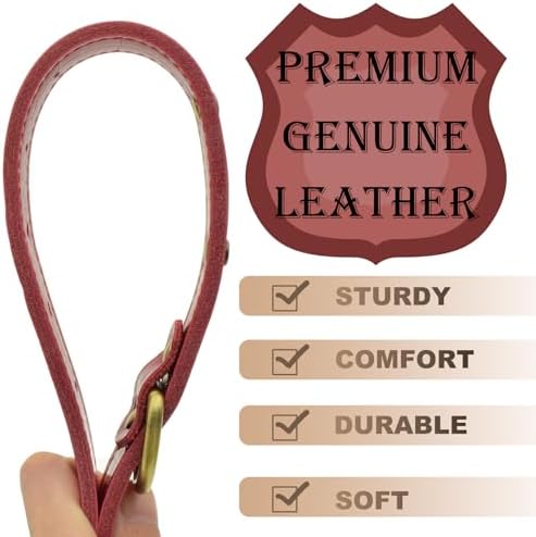 Personalized Genuine Leather Dog Collar with Engraved Name Plate - Durable and Stylish Custom Dog Collar for Small, Medium, and Large Dogs (M,Blue)