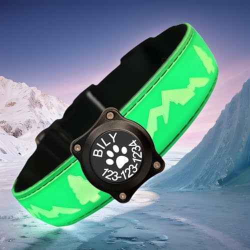 Customlized Name Flashing USB-C led Light up Dog Collar with airtag Holder, Subversive 3D Design Comfortable and Soft Material,Multicolored Lighting (Green, L(15.7-19.7"))