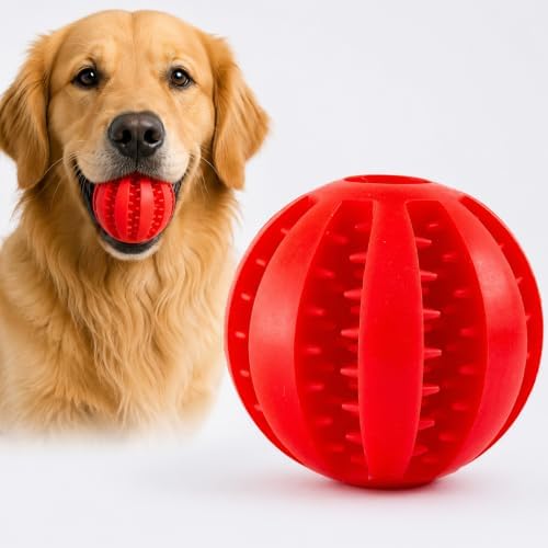 GASHIK Dog Treat Ball for Dogs, Rubber Dental Chew Toy for Dogs