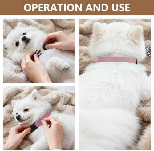 Pink Gradient Dog Collar with Bell 2 Pack Dog Collar Adjustable 10.6 to 17.1 Inches